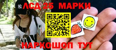 спиды Гатчина
