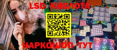 спиды Гатчина