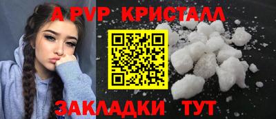 спиды Гатчина
